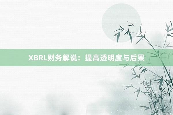 XBRL财务解说：提高透明度与后果